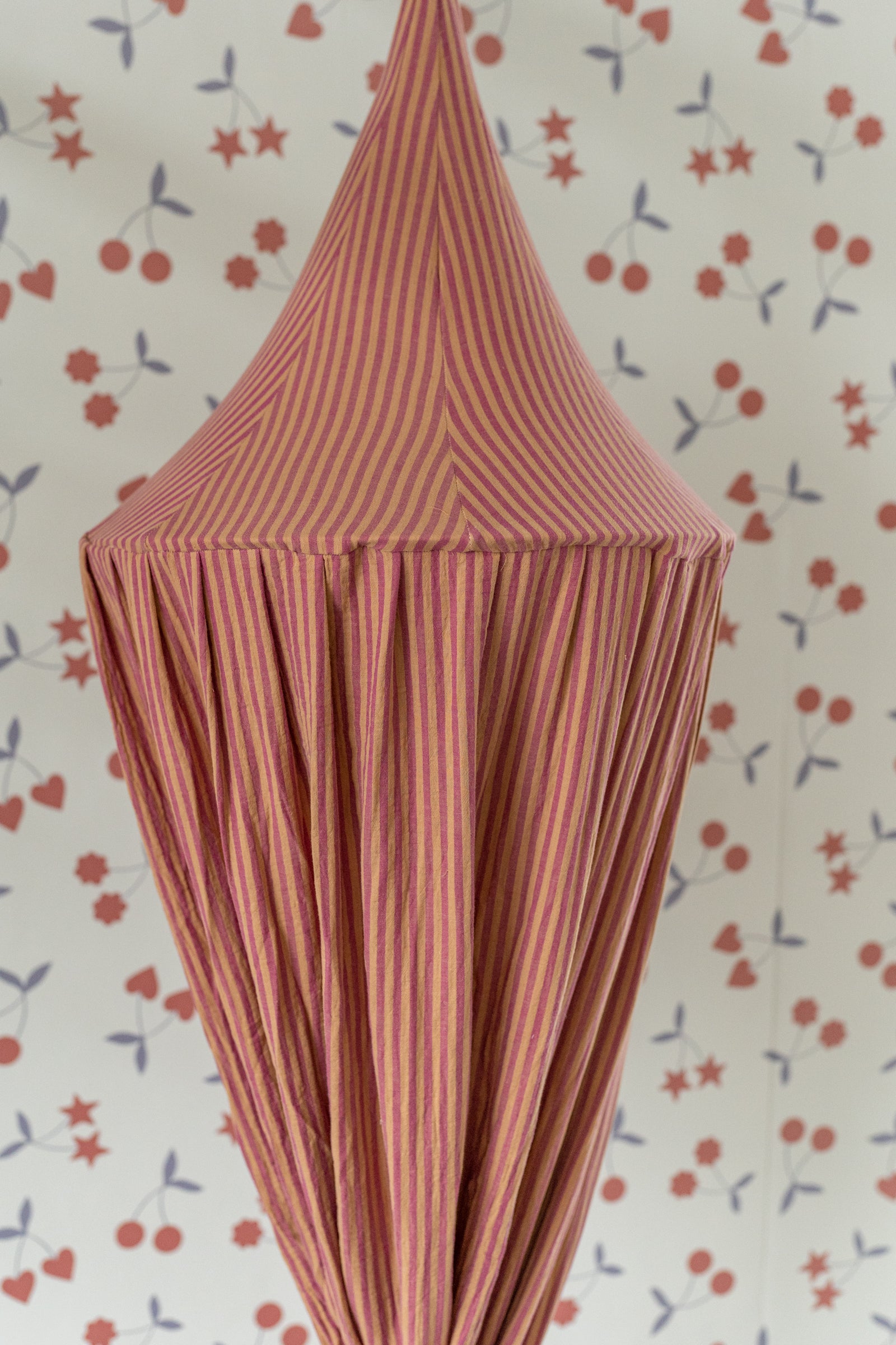 Clay Roses Stripes - Canopy