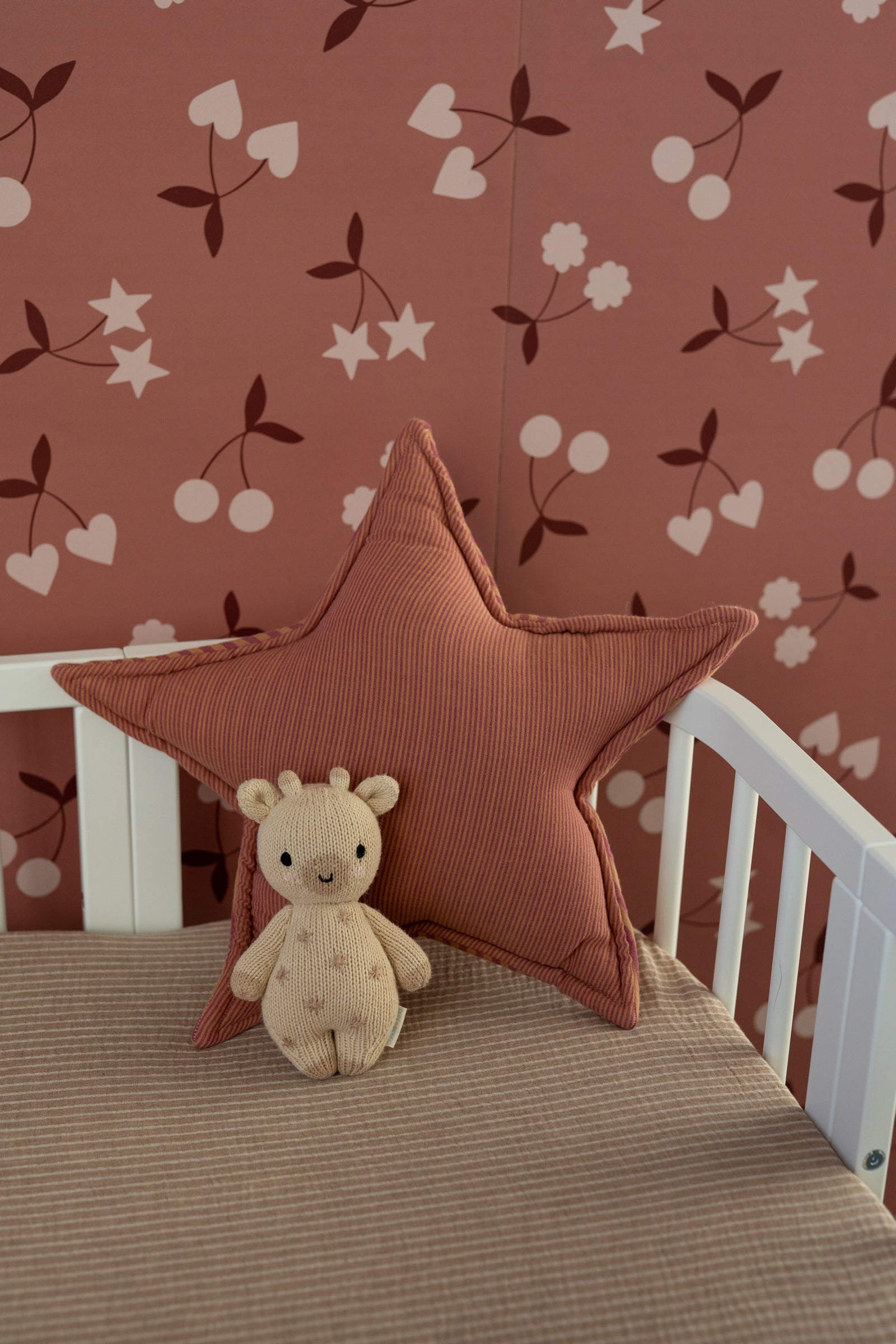 Clay Roses Stripes – Stars Pillow