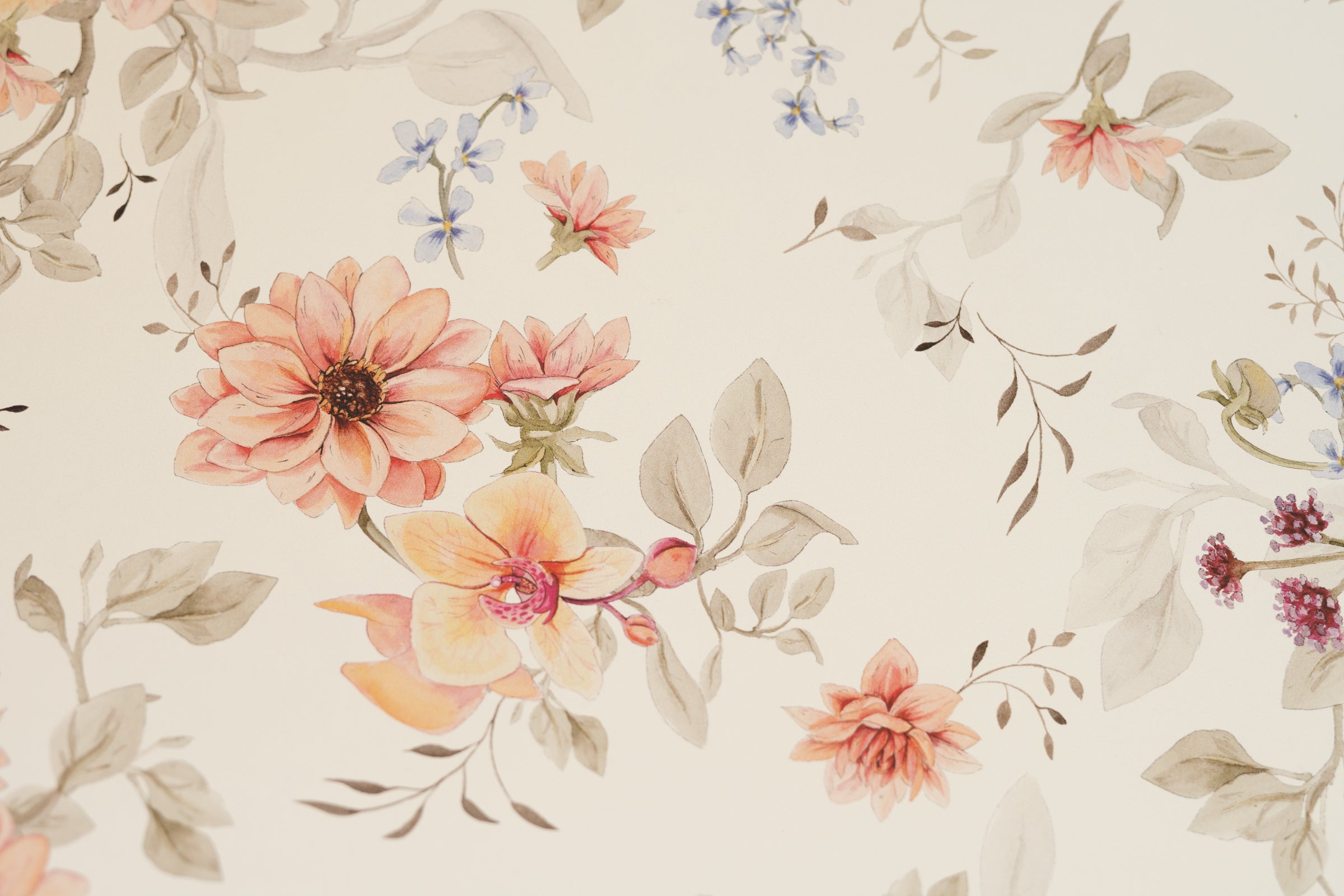 Georginias - floral wallpaper