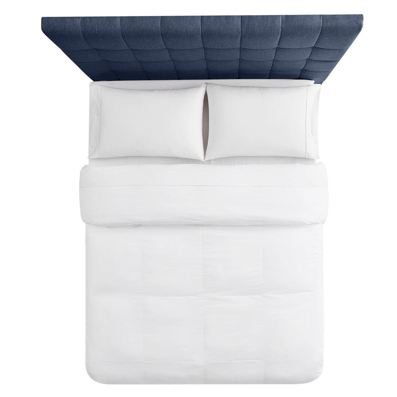 CO40038-1000x1000-ming710776__96054