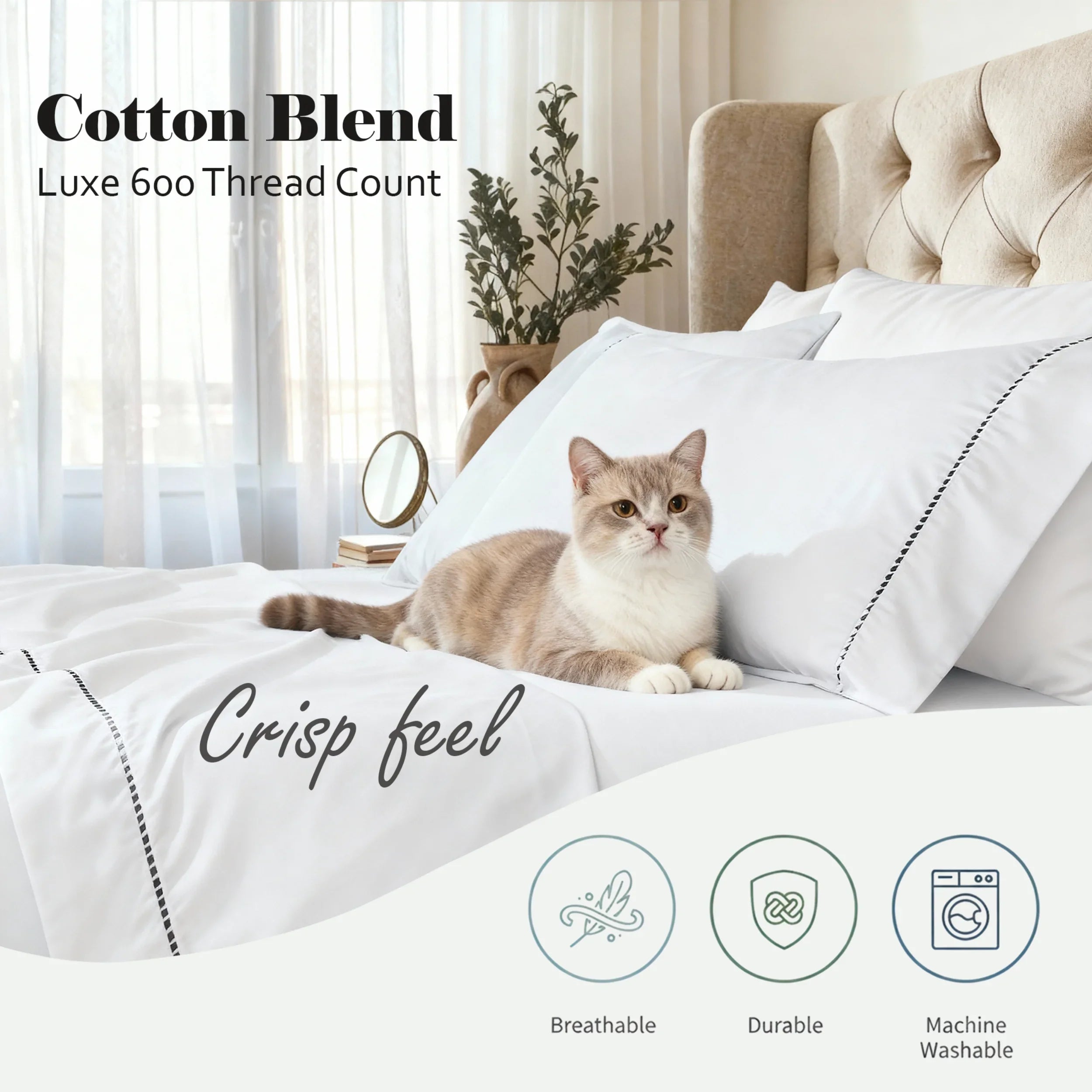 CR600ImperiaInfo5-DG_WhiteBlack