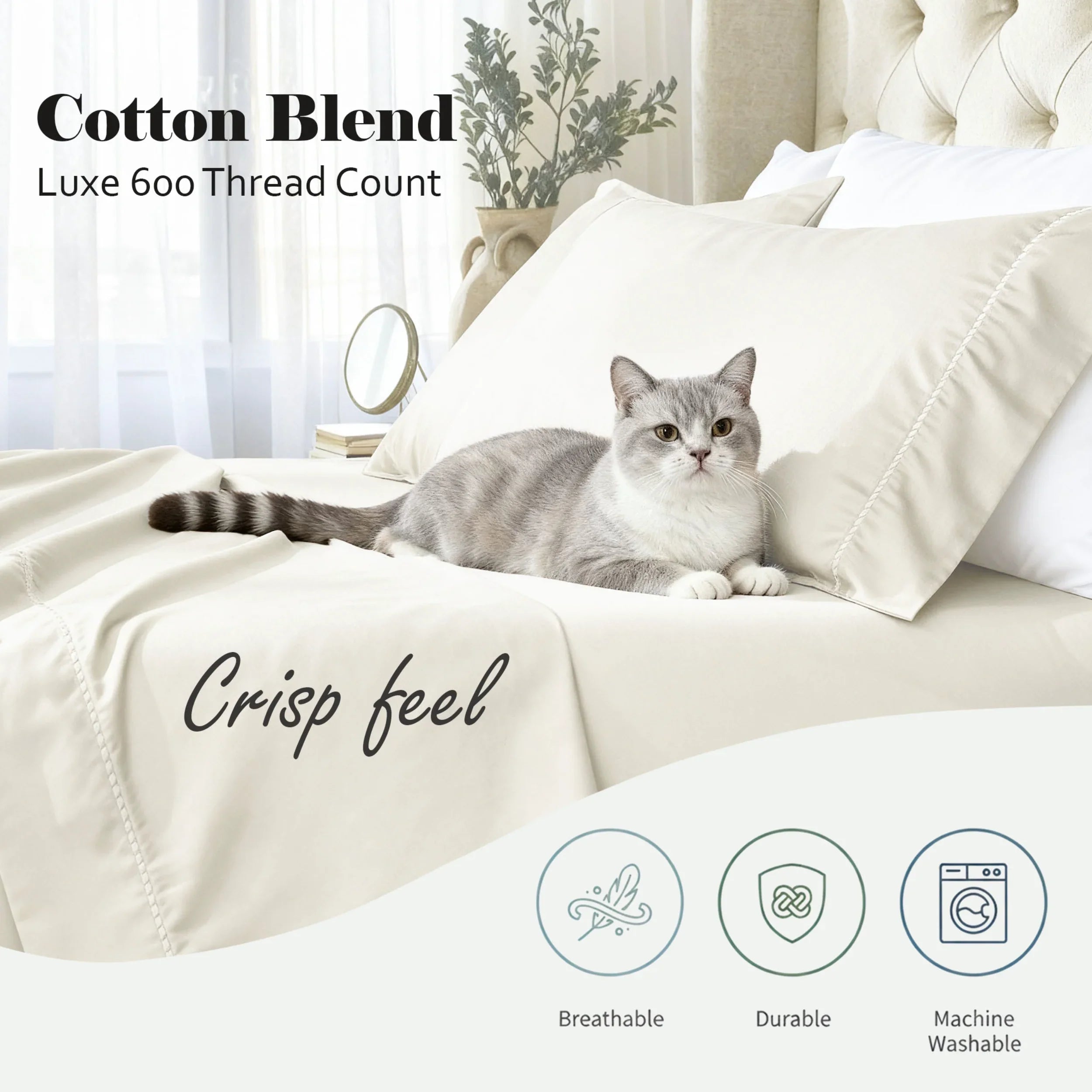 CR600ImperiaInfo5-IV