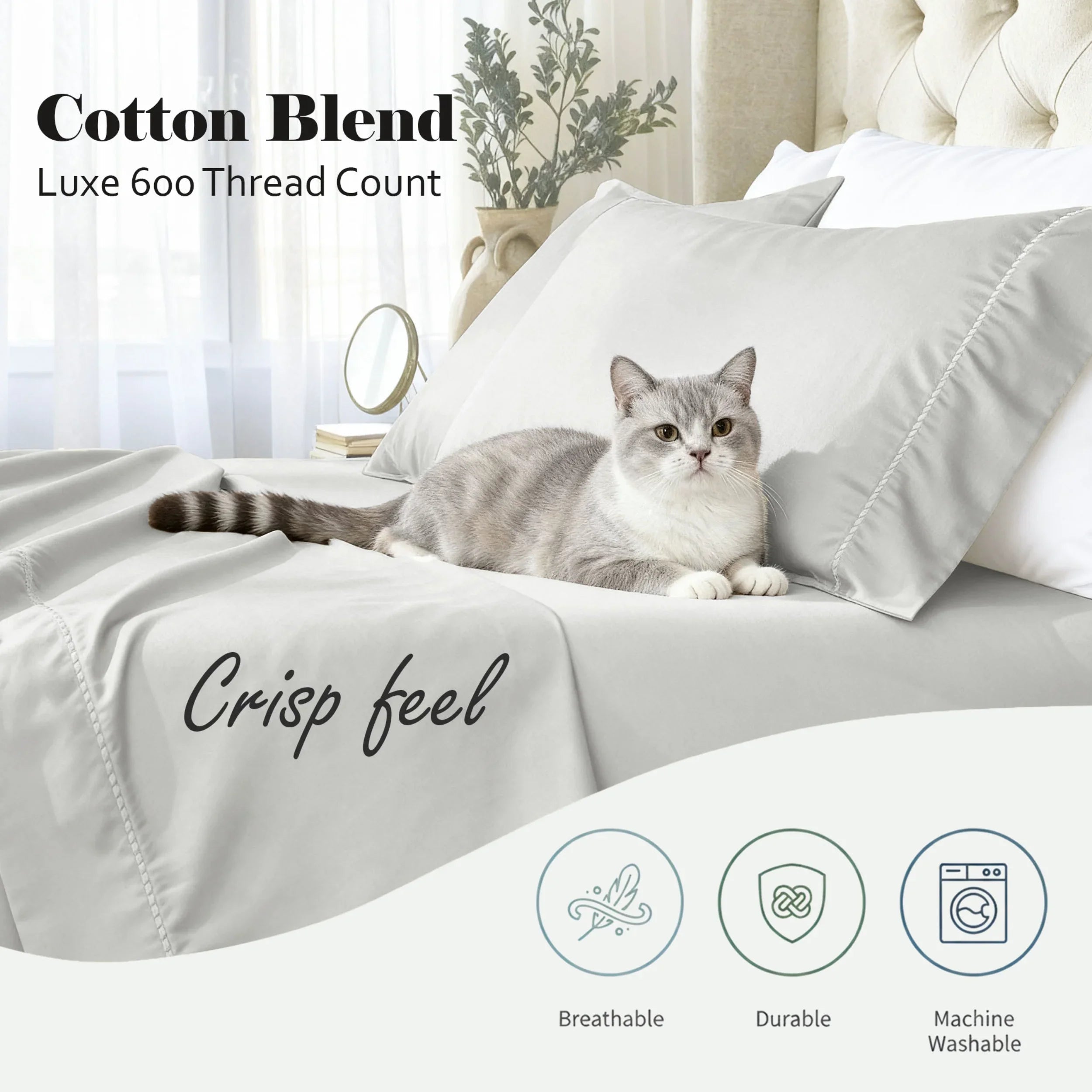 CR600ImperiaInfo5-PT