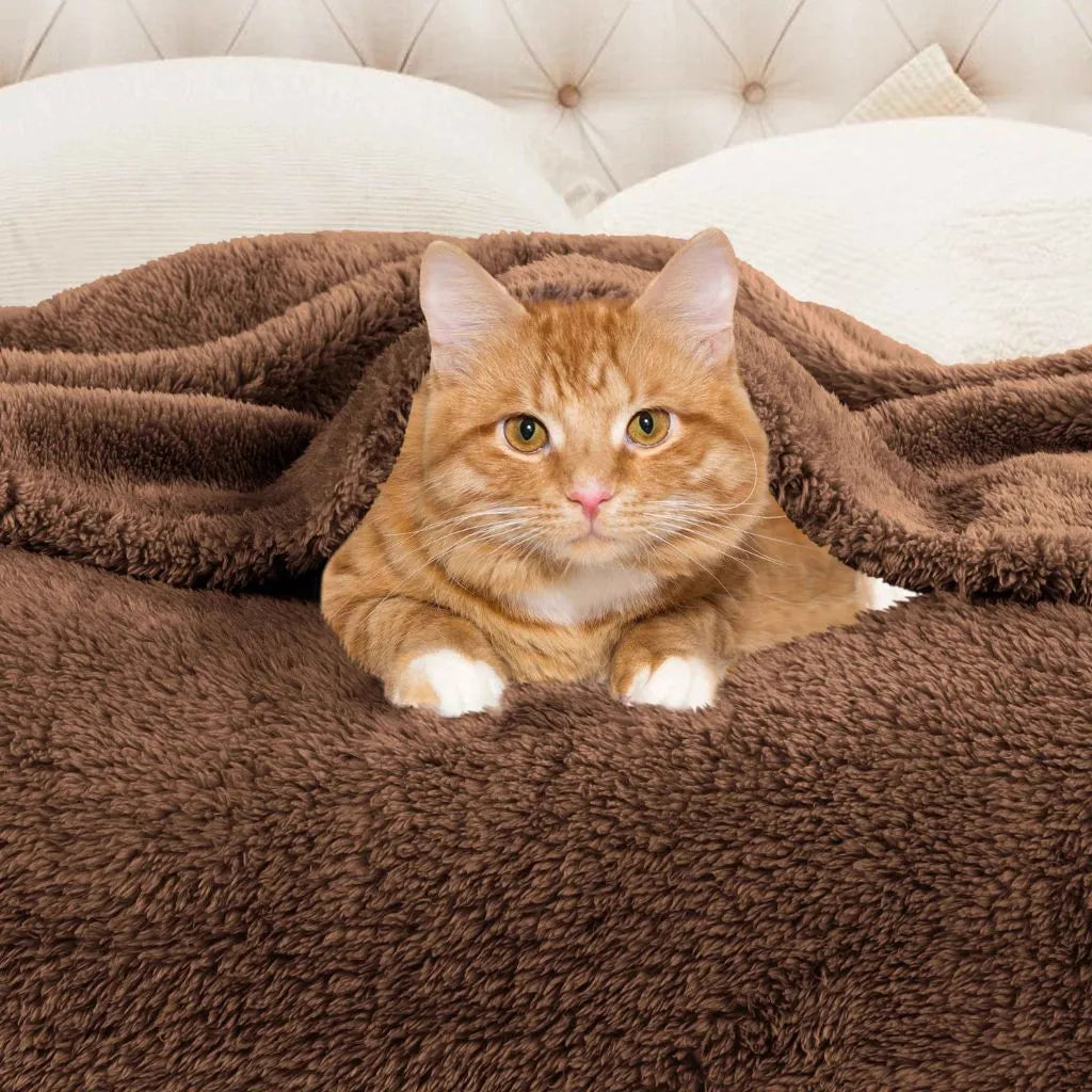 Textured Plush Blanket