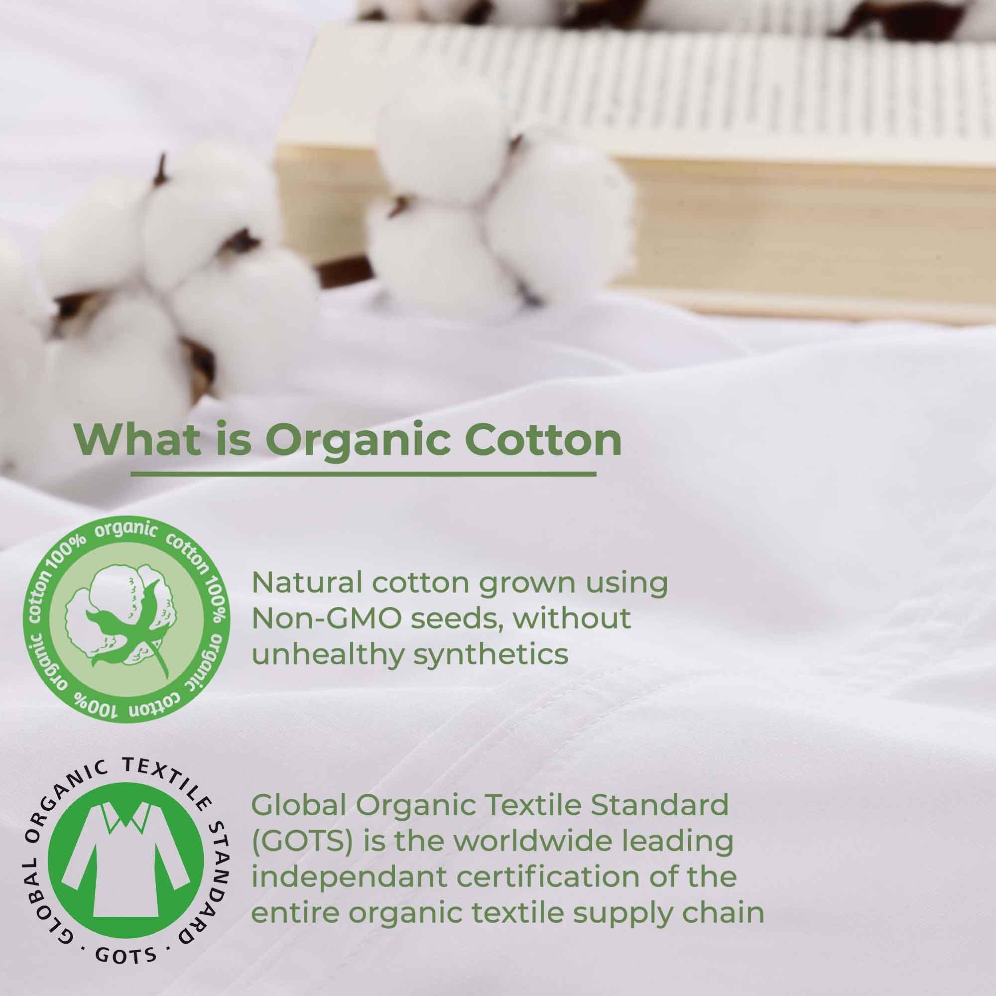 gina-organic-cotton-300-thread-count-percale-flat-bed-sheet-flat-sheet-superior-3